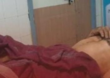 ആനയുടെ ആക്രമണത്തിൽ ഒരാൾക്കു പരുക്കേറ്റു