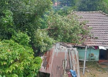 ശക്തമായ കാറ്റിലും മഴയിലും  വീടിന് മുകളില്‍ മരം വീണു