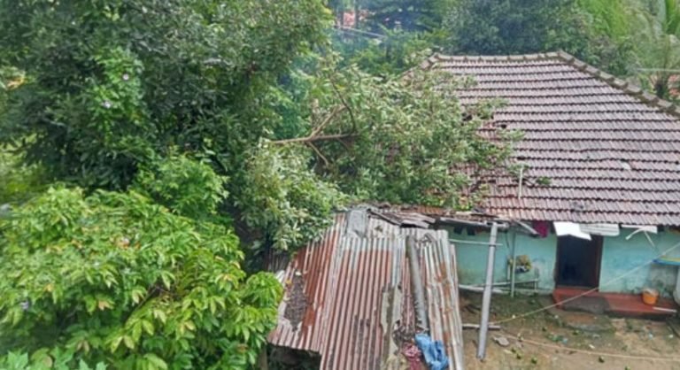 ശക്തമായ കാറ്റിലും മഴയിലും  വീടിന് മുകളില്‍ മരം വീണു
