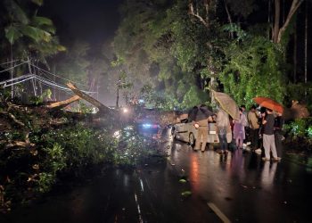 ഓടിക്കൊണ്ടിരുന്ന കാറിനു മുകളിൽ മരം വീണു