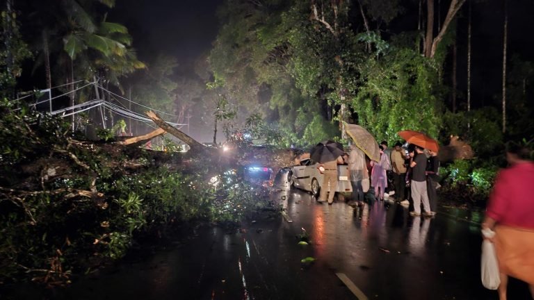 വയനാട്ടിൽ കനത്ത മഴ തുടരുന്നു:പലയിടത്തും വെള്ളം കയറി,ദുരിതാശ്വാസ കേന്ദ്രങ്ങൾ തുറന്നു
