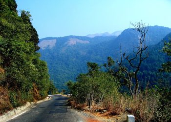 പാൽചുരത്തിൽ ഗതാഗതം നിരോധിച്ചു