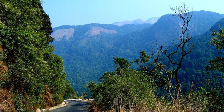 പാൽചുരത്തിൽ ഗതാഗതം നിരോധിച്ചു