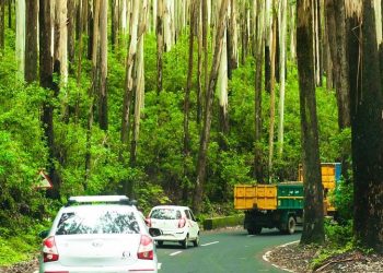 ഗൂഡല്ലൂർ ഊട്ടി റോഡിൽ രാത്രികാല ഗതാഗതം നിരോധിച്ചു