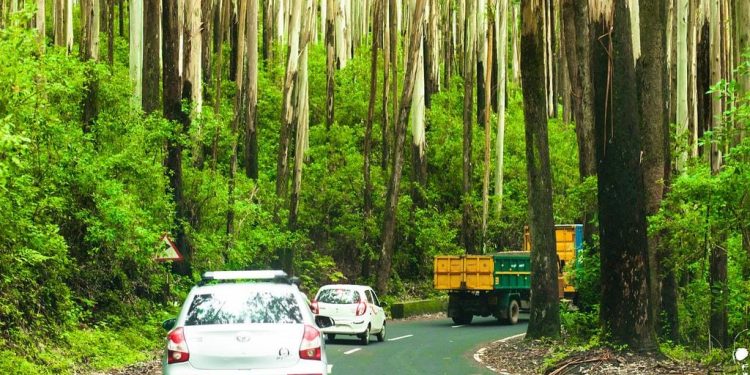 ഗൂഡല്ലൂർ ഊട്ടി റോഡിൽ രാത്രികാല ഗതാഗതം നിരോധിച്ചു
