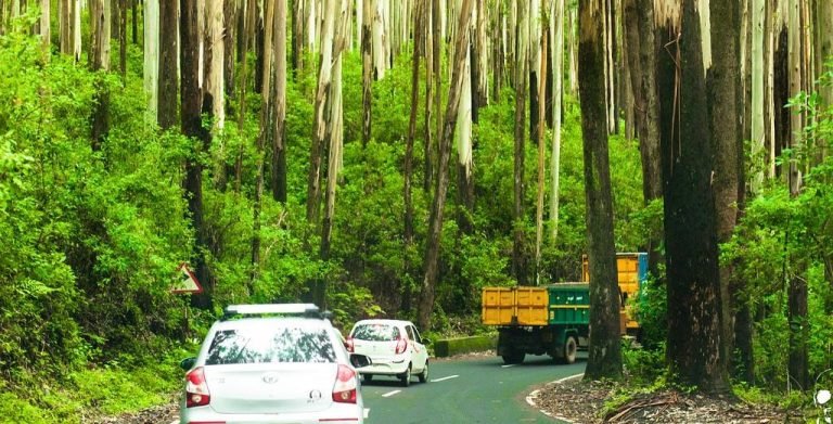 ഗൂഡല്ലൂർ ഊട്ടി റോഡിൽ രാത്രികാല ഗതാഗതം നിരോധിച്ചു