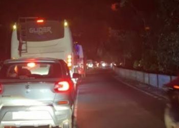 വയനാട് ചുരത്തിൽ മരം വീണ് ഗതാഗത തടസം നേരിടുന്നു