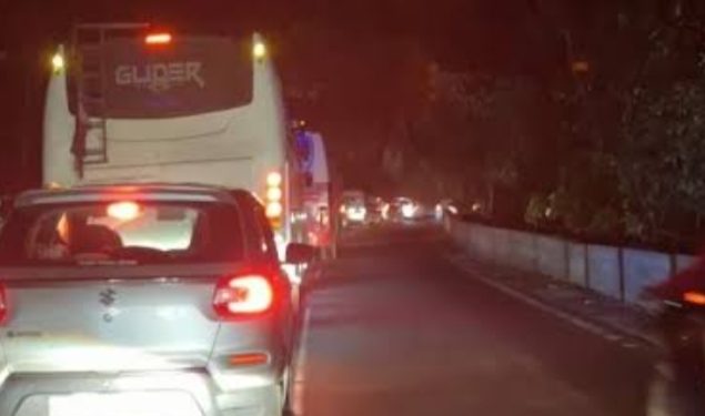 വയനാട് ചുരത്തിൽ മരം വീണ് ഗതാഗത തടസം നേരിടുന്നു