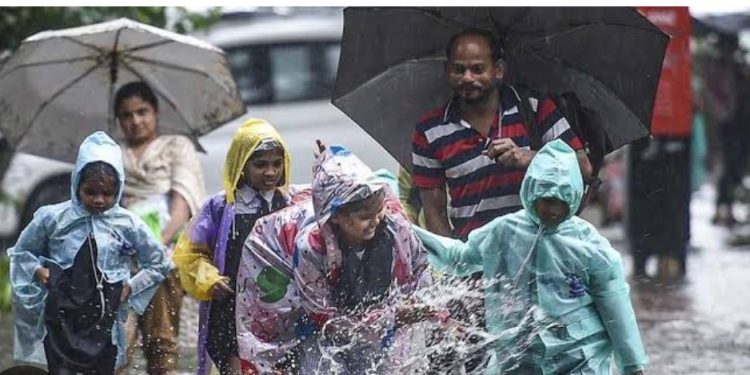 ഏഴ് ജില്ലകളിലെ വിദ്യാഭ്യാസ സ്ഥാപനങ്ങൾക്ക് നാളെ അവധി