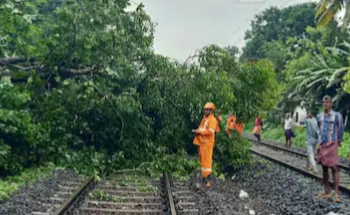 കോഴിക്കോട്ട് പാളത്തിൽ വീണ്ടും മരം വീണു;ട്രെയിനുകൾ വൈകും