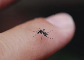 സാധാരണ പനിയെന്ന് തെറ്റിദ്ധരിക്കരുത്, ഈ ലക്ഷണങ്ങൾ തിരിച്ചറിയണം