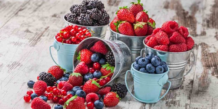 എന്താണ് വൈറ്റമിൻ പി? ലഭിക്കാൻ കഴിക്കേണ്ട ഭക്ഷണങ്ങൾ