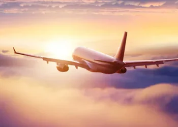 പുറത്തുനിന്ന് വാങ്ങിയ ഭക്ഷണം വിമാനത്തിനുള്ളിലിരുന്ന് കഴിക്കാനാകുമോ?