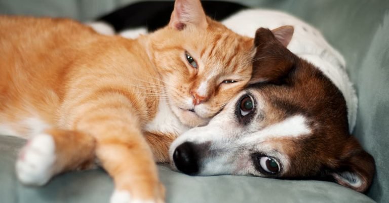 We Found the 20 Best GIFs on the Whole Internet