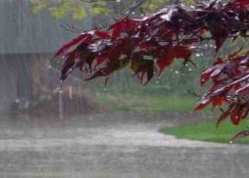 മഴ കനക്കും; സംസ്ഥാനത്ത് നാളെ 4 ജില്ലകളിൽ ഓറഞ്ച് അലർട്ട്