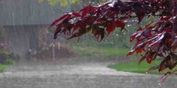 മഴ കനക്കും; സംസ്ഥാനത്ത് നാളെ 4 ജില്ലകളിൽ ഓറഞ്ച് അലർട്ട്