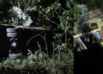 വാൽപ്പാറയിൽ ബസ് കൊക്കയിലേക്കു മറിഞ്ഞു; 25 പേർക്ക് പരുക്ക്