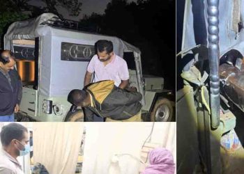 വനം വകുപ്പ് ഉദ്യോഗസ്ഥരുടെ പട്രോളിങ് വാഹനത്തിന് നേരെ കാട്ടാനയുടെ ആക്രമണം