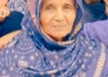 വാഹാനാപകടം, വയോധിക മരിച്ചു