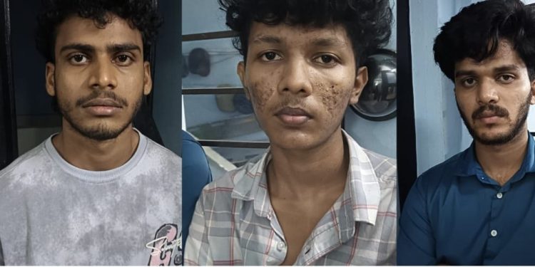 മേപ്പാടിയിൽ വാഹനമിടിച്ച് വയോധിക മരിച്ച സംഭവത്തിൽ നാലുപേർ അറസ്റ്റിൽ