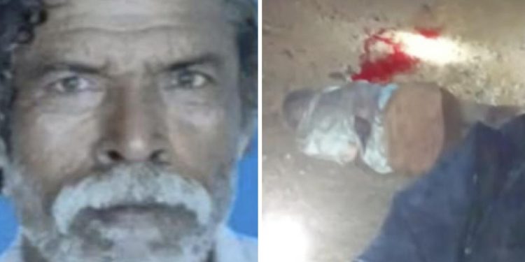 കാട്ടാനയുടെ ആക്രമണം ഒരാൾ മരണപെട്ടു