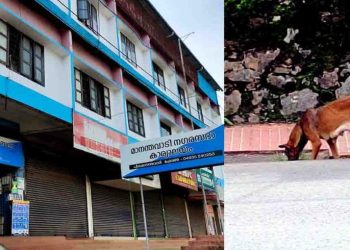 തെരുവുനായ ശല്യം;കമ്മിറ്റി രൂപീകരിച്ചു