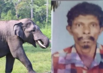 നിലമ്പൂരിൽ കാട്ടാനയുടെ ആക്രമണത്തിൽ യുവാവ് കൊല്ലപ്പെട്ടു