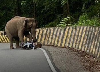 കാട്ടാന ആക്രമണം;അത്ഭുതകരമായി രക്ഷപ്പെട്ട് ബൈക്ക് യാത്രികൻ