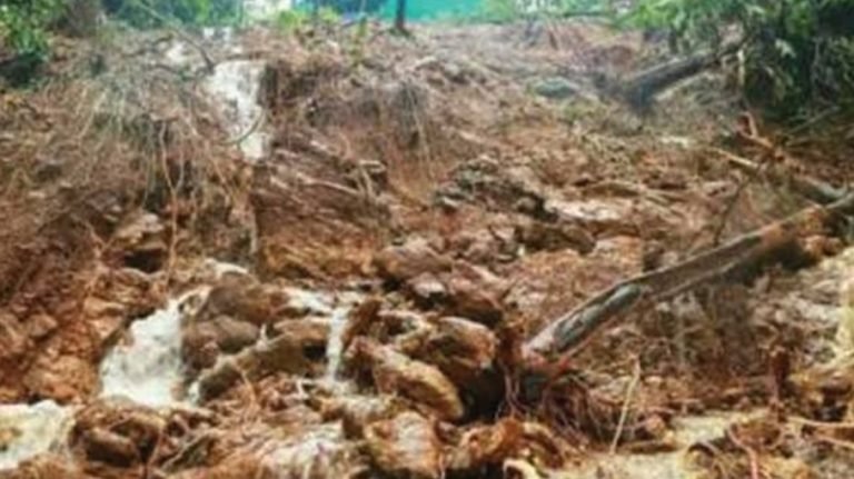 ഉള്‍വനത്തിലെ മണ്ണിടിച്ചില്‍ ആശങ്കപ്പെടാനില്ല