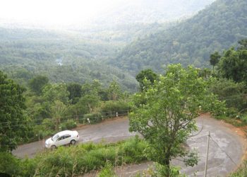 വയനാട് കണ്ണൂർ ചുരം രഹിതപാത യാഥാർത്യമാക്കണം, സി.പി.ഐ