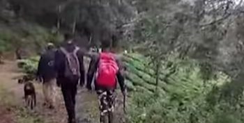 പുലി പിടിച്ച നാലരവയസ്സുകാരിയുടെ മൃതദേഹം കണ്ടെത്തി