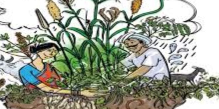 സി പി ഐ വയനാട് ജില്ലാ സമ്മേളനം;കാർഷിക സെമിനാർ നാളെ മാനന്തവാടിയിൽ