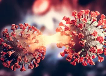 രാജ്യത്ത് ഒറ്റദിവസം 358 കോവിഡ് കേസ്; സംസ്ഥാനത്ത് കോവിഡ് കേസുകൾ ഉയർന്നേക്കാം