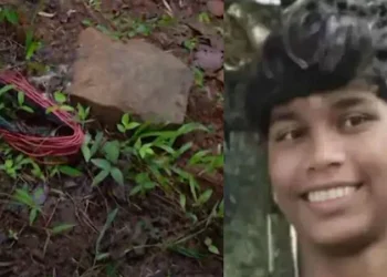 പന്നിക്കെണിക്കെതിരെ കെഎസ്ഇബിയിൽ പരാതി; വൈദ്യുതി മോഷ്ടിച്ച് ലൈൻ വലിച്ചത് അരകിലോമീറ്ററോളം’