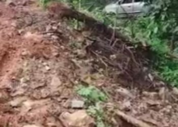 കാർ കുഴിയിലേക്ക് മറിഞ്ഞ് അഞ്ചംഗ കുടുബം അത്ഭുതകരമായി രക്ഷപ്പെട്ടു