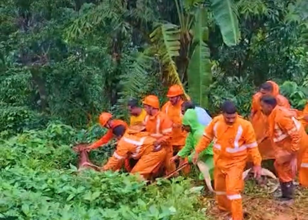 കാണാതായ കറവപശുവിനെ കണ്ടെത്തി