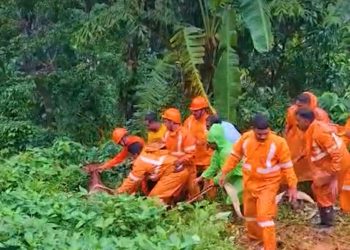 കാണാതായ കറവപശുവിനെ കണ്ടെത്തി