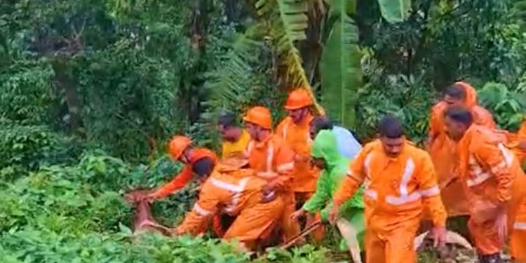 കാണാതായ കറവപശുവിനെ കണ്ടെത്തി