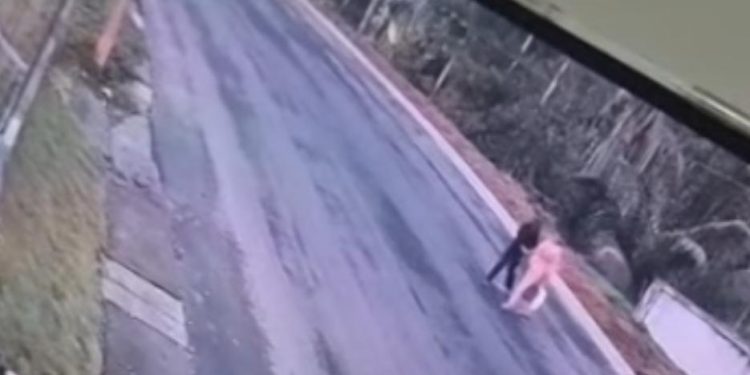 റോഡ് മുറിച്ച് കടക്കുന്നതിനിടെ കാറിടിച്ചു;അമ്മയ്ക്കും മകൾക്കും പരിക്ക്