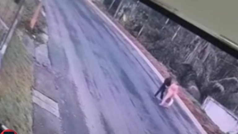 റോഡ് മുറിച്ച് കടക്കുന്നതിനിടെ കാറിടിച്ചു;അമ്മയ്ക്കും മകൾക്കും പരിക്ക്