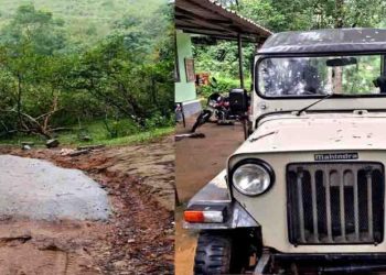 വനത്തിലൂടെ പോകുന്ന റോഡ് അനധികൃതമായി കോണ്‍ക്രീറ്റ് ചെയ്തു:റിസോർട്ട് അധികൃതർക്കെതിരെ നടപടി