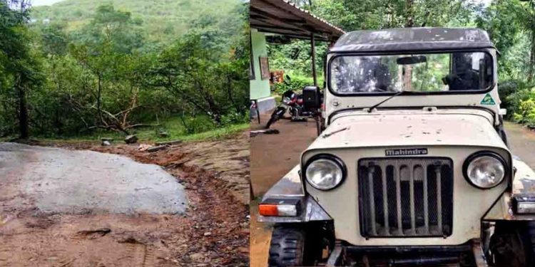 വനത്തിലൂടെ പോകുന്ന റോഡ് അനധികൃതമായി കോണ്ക്രീറ്റ് ചെയ്തു:റിസോർട്ട് അധികൃതർക്കെതിരെ നടപടി