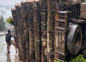 തടി കയറ്റിയ ലോറി നിയന്ത്രണം വിട്ടു മറിഞ്ഞു