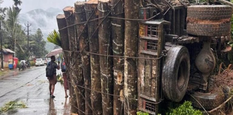 തടി കയറ്റിയ ലോറി നിയന്ത്രണം വിട്ടു മറിഞ്ഞു