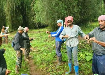 തൂക്കു വേലി നിര്‍മ്മിച്ചു