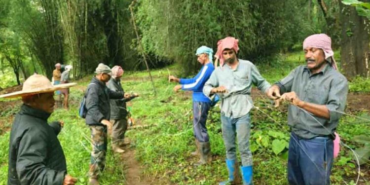 തൂക്കു വേലി നിര്‍മ്മിച്ചു