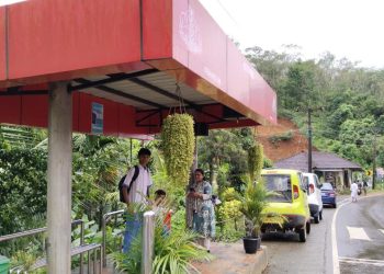 ശുചിത്വത്തിലും മാലിന്യ സംസ്കരണത്തിലും മികവ് പുലർത്തി യവനാർകുളം, സഞ്ചാരികളുടെ മനം കവർന്ന് റോഡരികിലെ പുന്തോട്ടം