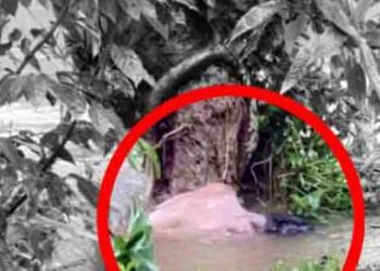 പുഴയില്‍  കണ്ടെത്തിയ മൃതദേഹം തിരിച്ചറിഞ്ഞു