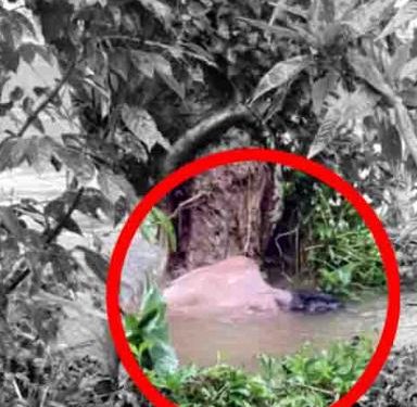 പുഴയില് കണ്ടെത്തിയ മൃതദേഹം തിരിച്ചറിഞ്ഞു