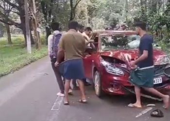 മാൻ കുറുകെ ചാടി കാർ അപകടത്തിൽ പെട്ടു